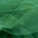 negative-space-hostas-doubleexposure