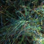 cropped-negative-space-abstract-particle-strings